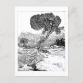 ジュニパーバレーワイルダネス – はがき (正面)