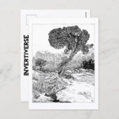 ジュニパーバレーワイルダネス – はがき (正面/裏面)