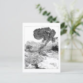 ジュニパーバレーワイルダネス – はがき (スタンド正面)