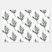 ジュニパーパインツリーブランチコーン&レッドアイレックスベリー ラッピングペーパーシート (正面3)