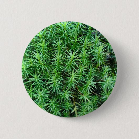 ジュニパーヘアキャップモスバッジ 缶バッジ (正面)
