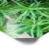 ジュニパーヘアキャップモス フォトプリント            (角)