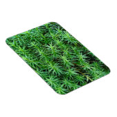 ジュニパーヘアキャップモス マグネット (右側)