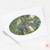 ジュニパーベリーステッカー 楕円形シール (封筒)