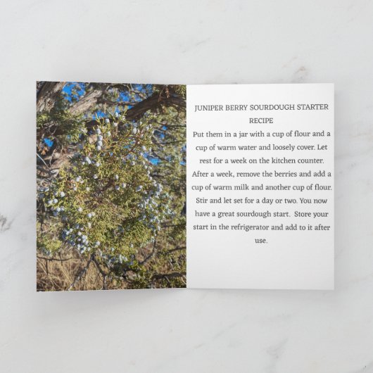 ジュニパーベリーソース生地スターターレシピカード カード (内部)