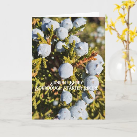 ジュニパーベリーソース生地スターターレシピカード カード (黄色い花)