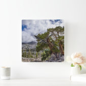 ジュニパー属と常緑樹 スクエア壁時計 (ホーム)