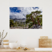 ジュニパー属と常緑樹 ポスター (キッチン)