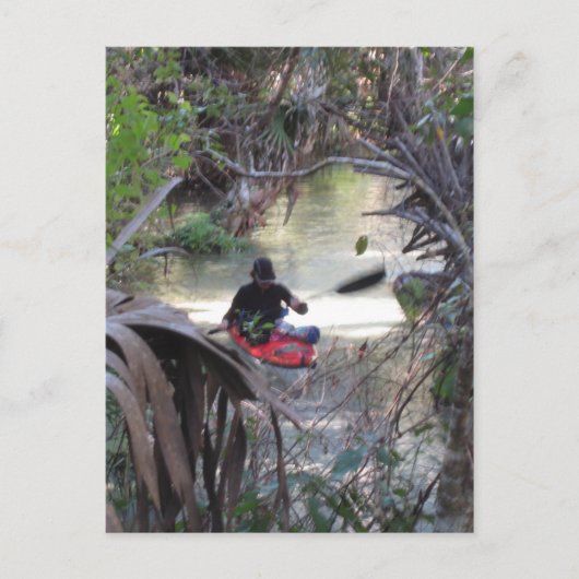 ジュニパー春、フロリダ ポストカード (正面)