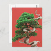 ジュニパー盆栽 ポストカード (正面/裏面)