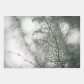 ジュニパー自然写真 ラッピングペーパーシート (正面3)