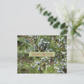 ジュニパー造園ビジネスホリデーカード シーズンカード (スタンド正面)