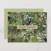 ジュニパー造園ビジネスホリデーカード シーズンカード (正面/裏面)