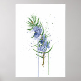 ジュニパー ポスター