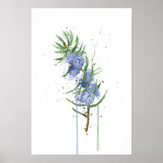 ジュニパー ポスター (正面)