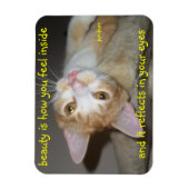 ジュニプル美しい磁石 マグネット (縦)