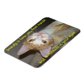 ジュニプル美しい磁石 マグネット (左側)