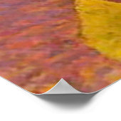 ジュヌフィルデプロフィルバイアリスティードメロール ポスター (角)