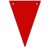 ジュネクフレイドフリーダムデイシティお祝いパーティー バンティングフラッグ (第3の旗)