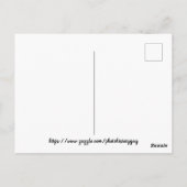 ジュネーブ湖ウィスコンシン汽船船1890年代 ポストカード (裏面)