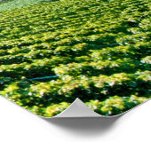 ジュネーブ湖(ラックレマン) 007 ポスター (角)