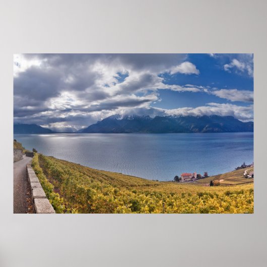 ジュネーブ湖(ラックレマン) 011 ポスター (正面)