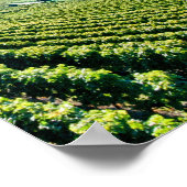 ジュネーブ湖（ラックレマン） 017 ポスター (角)