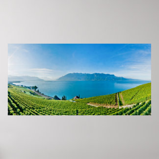 ジュネーブ湖（ラックレマン） 017 ポスター