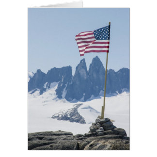 ジュノーIcefield Takuタワー(中ブランク)