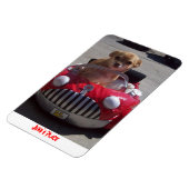 ジュノ磁石 マグネット (左側)