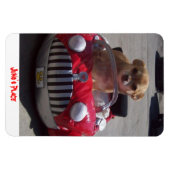 ジュノ磁石 マグネット (横)