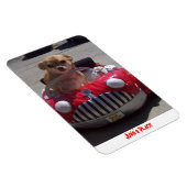 ジュノ磁石 マグネット (右側)