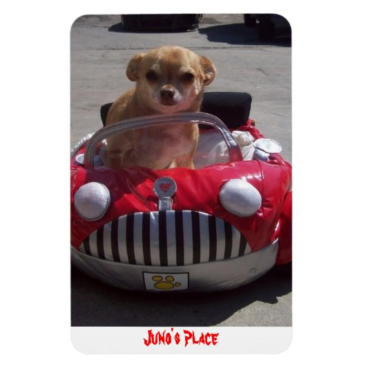 ジュノ磁石 マグネット (縦)