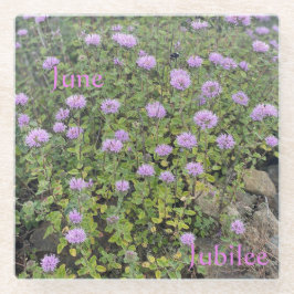 ジュビリーガラスコアスター ガラスコースター