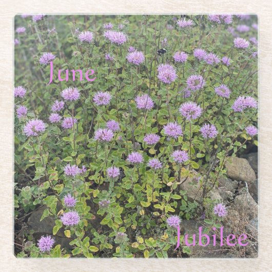 ジュビリーガラスコアスター ガラスコースター (正面)