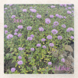 ジュビリーガラスコアスター ガラスコースター