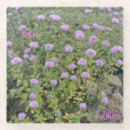 ジュビリーガラスコアスター ガラスコースター