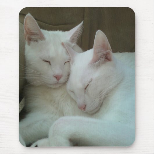 ジュピターおよびKonaのマウスパッド マウスパッド (正面)