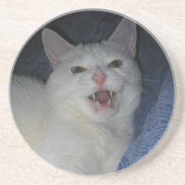 ジュピターのコースター コースター