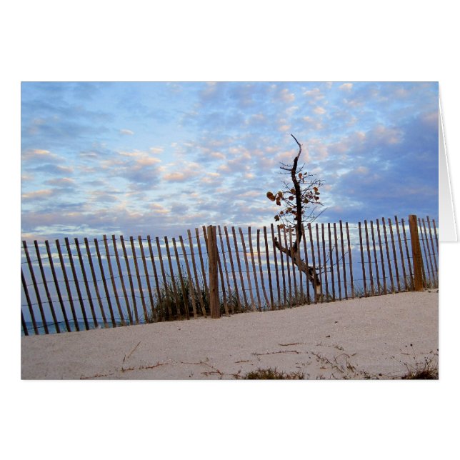 ジュピターのビーチの薄暗がり (正面横)