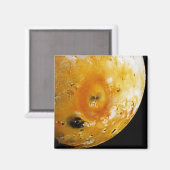 ジュピターのムーンイオ マグネット (正面/裏面)