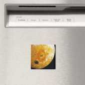 ジュピターのムーンイオ マグネット (インサイチュ (食洗機))