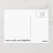 ジュピターインレットライトハウス ポストカード (裏面)