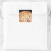 ジュピターズムーンヨーロッパ スクエアシール (バッグ)