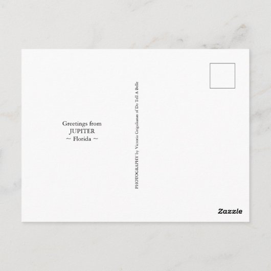 ジュピターフロリダハガキ海桟橋と海ぶどう ポストカード (裏面)