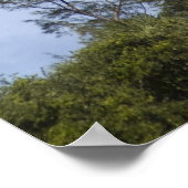 ジュピターライトハウス ポスター (角)