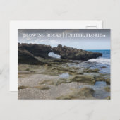 ジュピター島フロリ吹ダの岩場の保全 ポストカード (正面/裏面)
