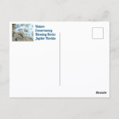 ジュピター フロリダ州 ブローイング ロックス 写真 ポストカード (裏面)