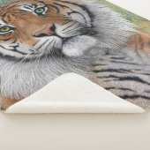 ジュマシェルパ毛布 シェルパブランケット (3/4)