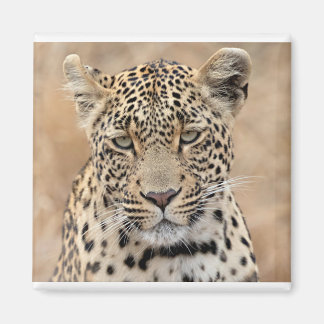 ジュメ女性ラオパールのトララマバプリンセス マグネット